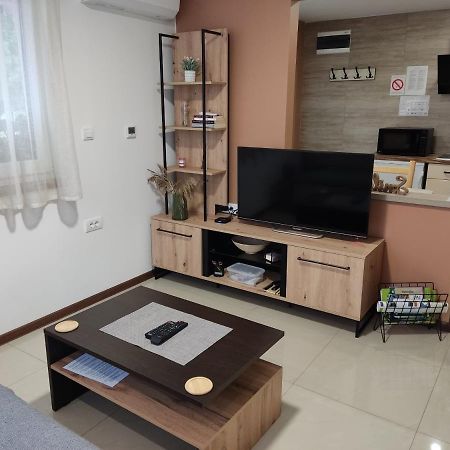 Apartmani Sladjana Novi Sad Buitenkant foto