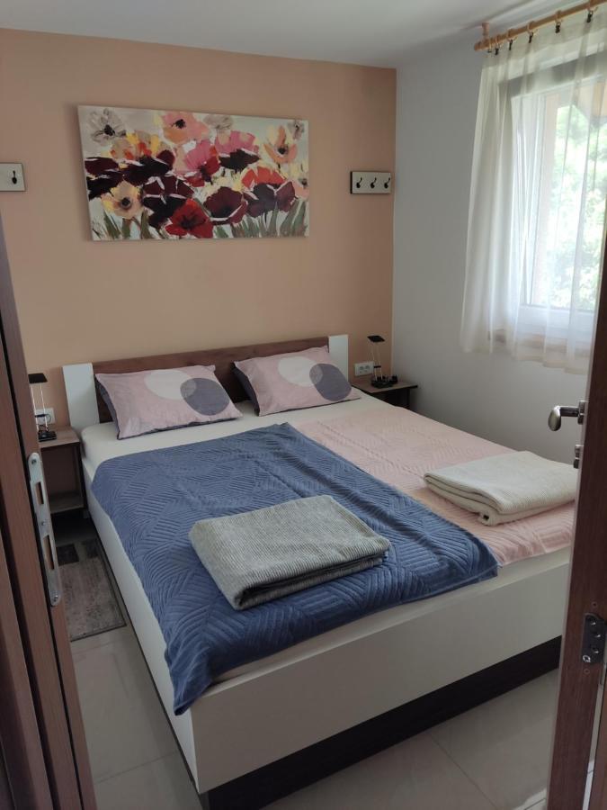 Apartmani Sladjana Novi Sad Buitenkant foto