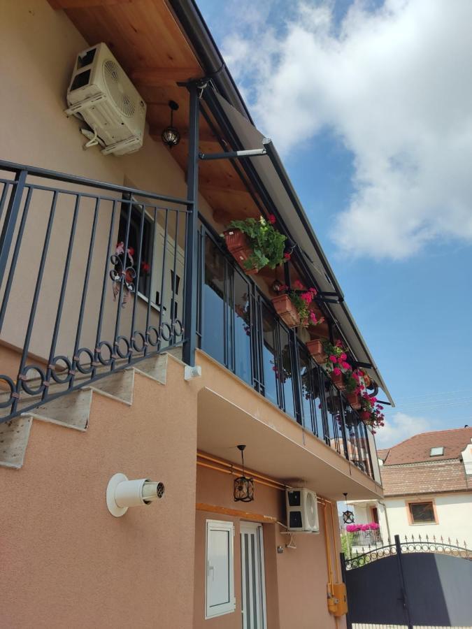 Apartmani Sladjana Novi Sad Buitenkant foto